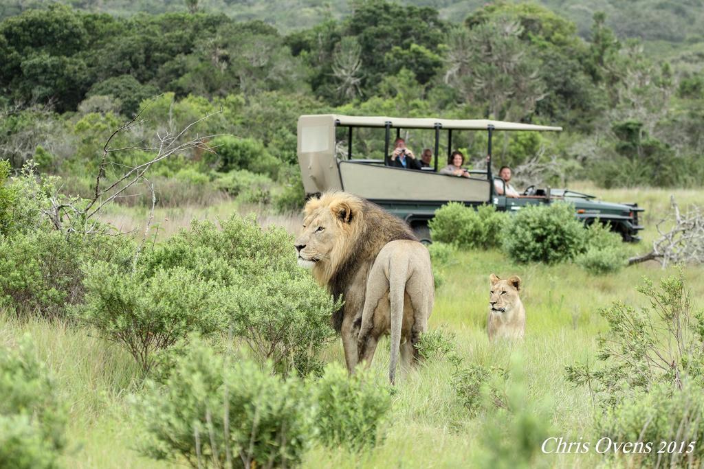 Sibuya Game Reserve And Lodge Kenton on Sea Bagian luar foto